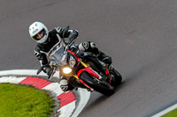 PJ-Motorsport-Photography-2020;anglesey;brands-hatch;cadwell-park;croft;donington-park;enduro-digital-images;event-digital-images;eventdigitalimages;mallory;no-limits;oulton-park;peter-wileman-photography;racing-digital-images;silverstone;snetterton;trackday-digital-images;trackday-photos;vmcc-banbury-run;welsh-2-day-enduro